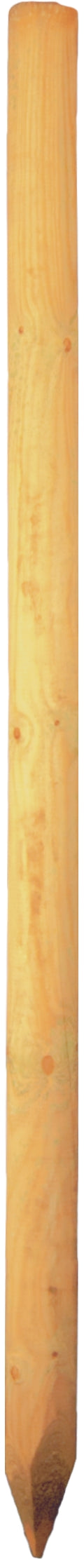 Baumpfahl 5 x 100 cm gefräst, gefast, gespitzt, kdi-grün