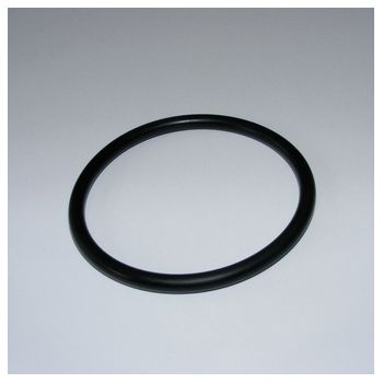 Oase O-Ring